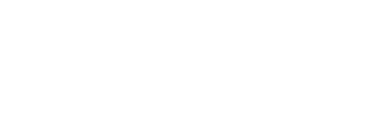 Liberty Nation News