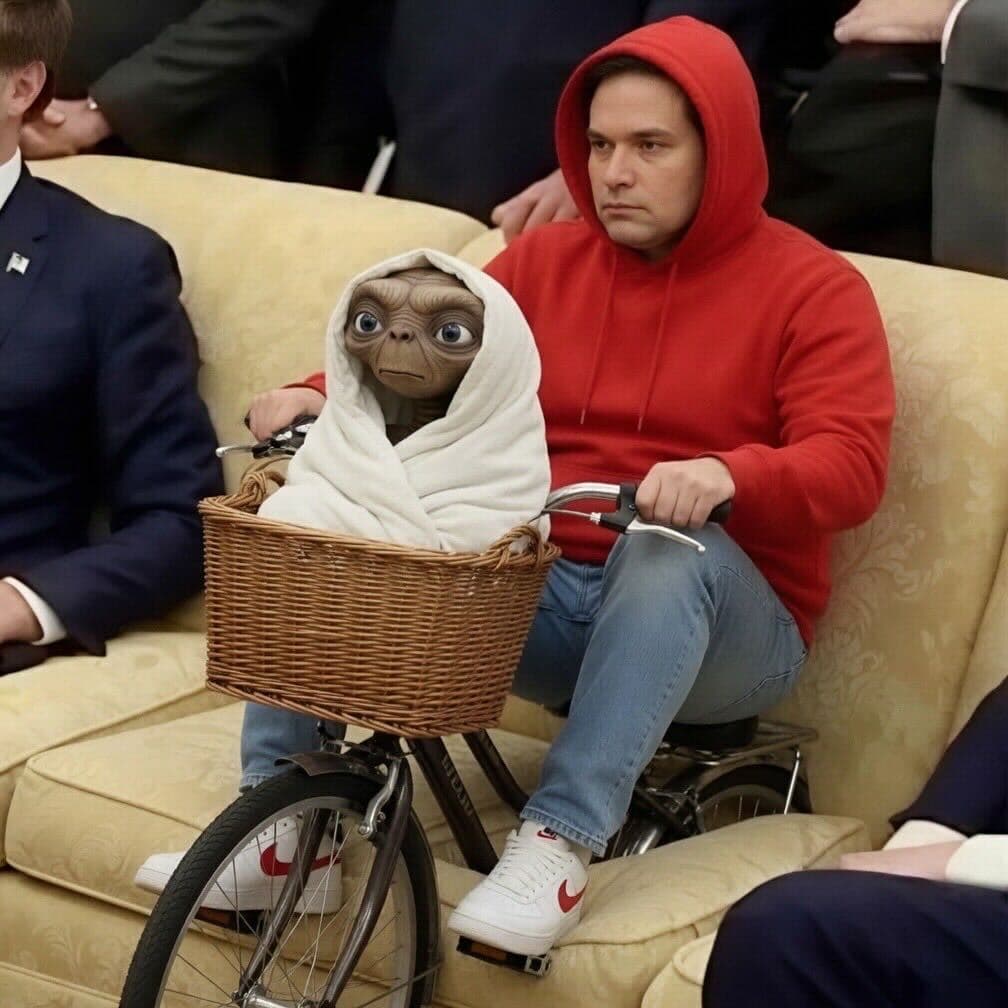 Daily Political Memes