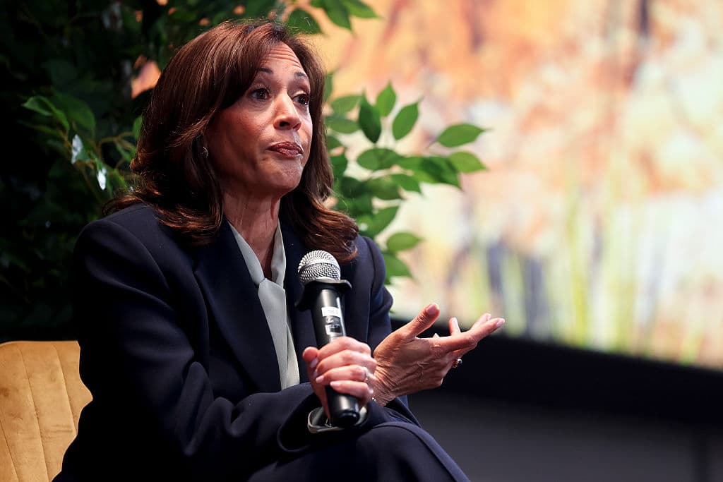 What to Expect When You’re Expecting a Kamala Presidency