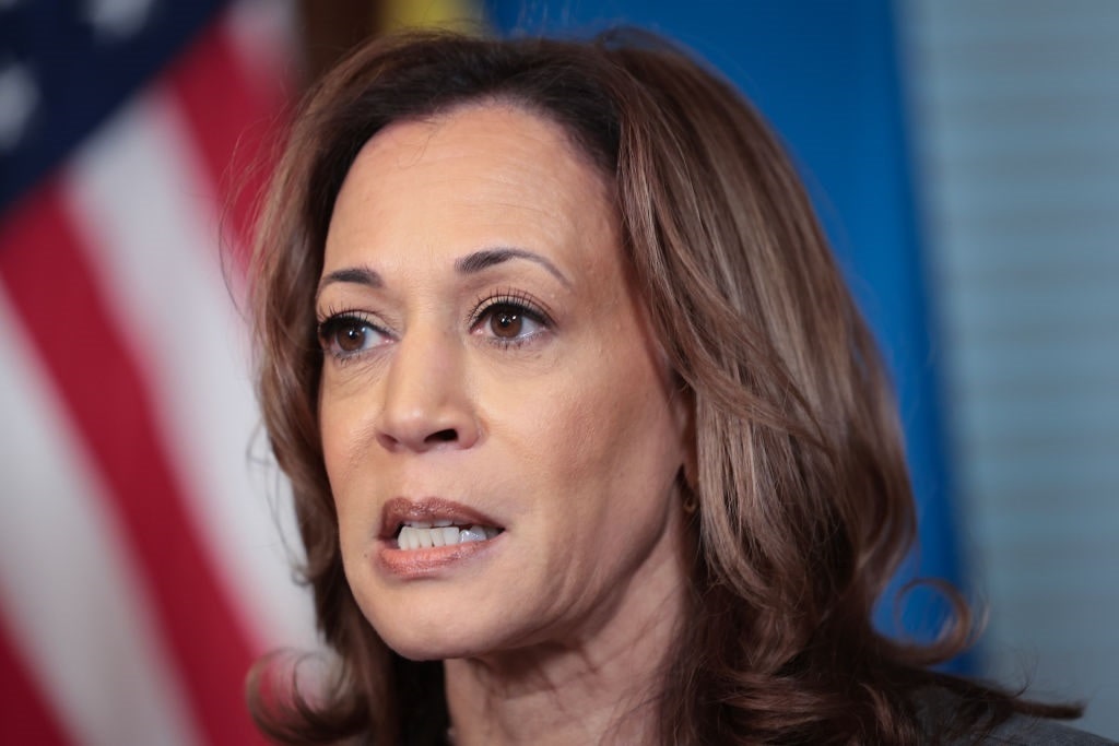 Kamala’s Election Pitch to Black Men – Free Cash and More