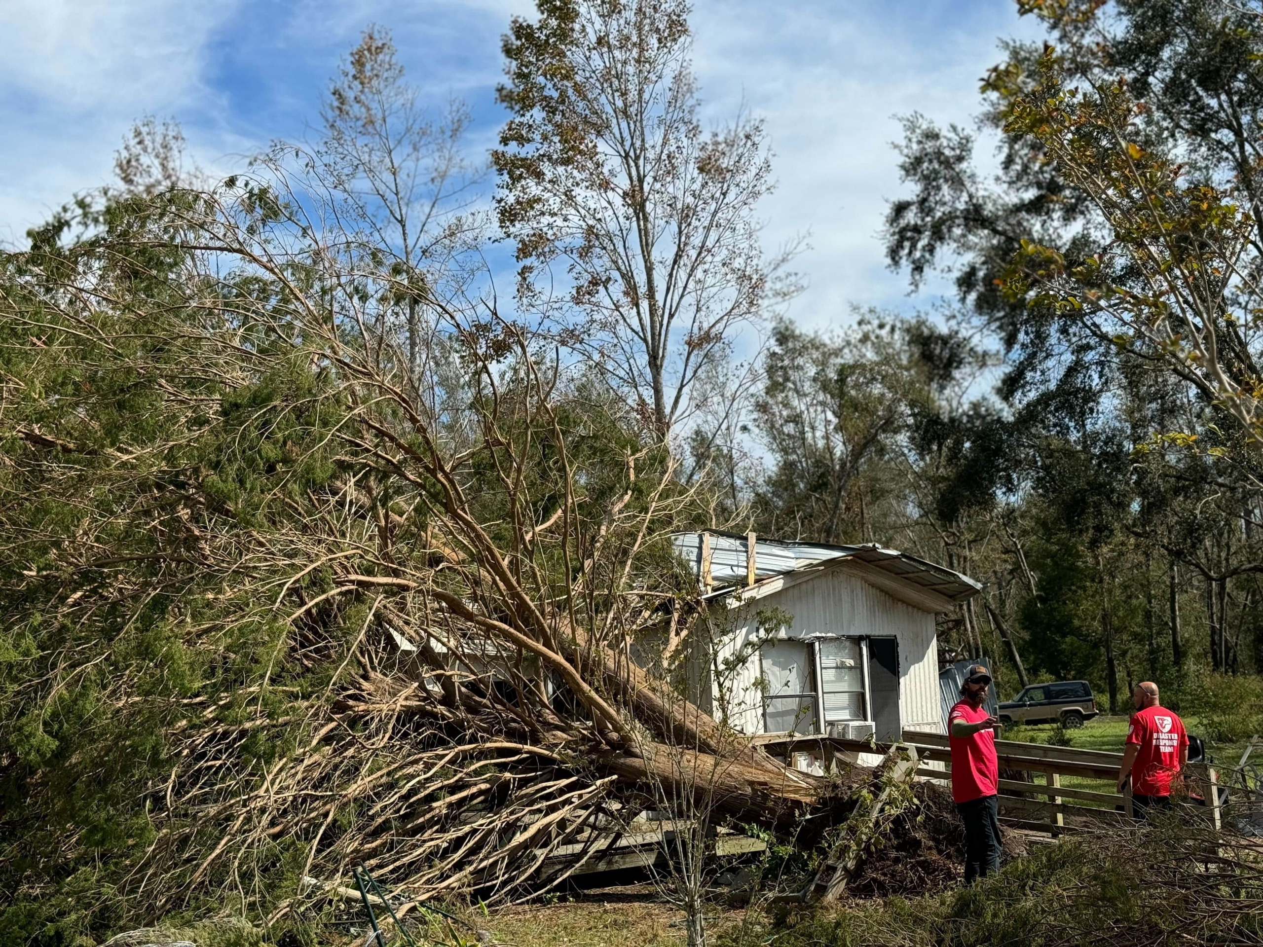 From the Back Forty: Hurricane Helene Hits Harris Where It Hurts