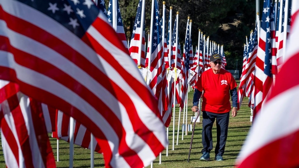 Veterans Day Spotlight: Service Members in Congress