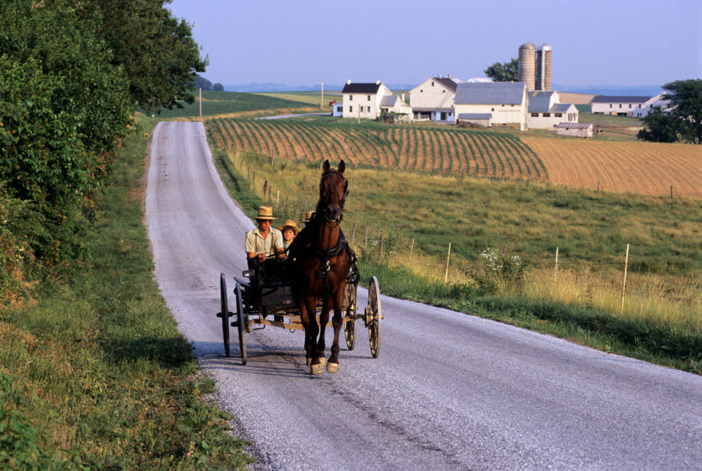 David vs Goliath: Amish Farmer Prevails Over Feds in Court