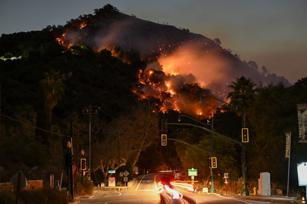 As California Burns, Progressives Go Down in Flames