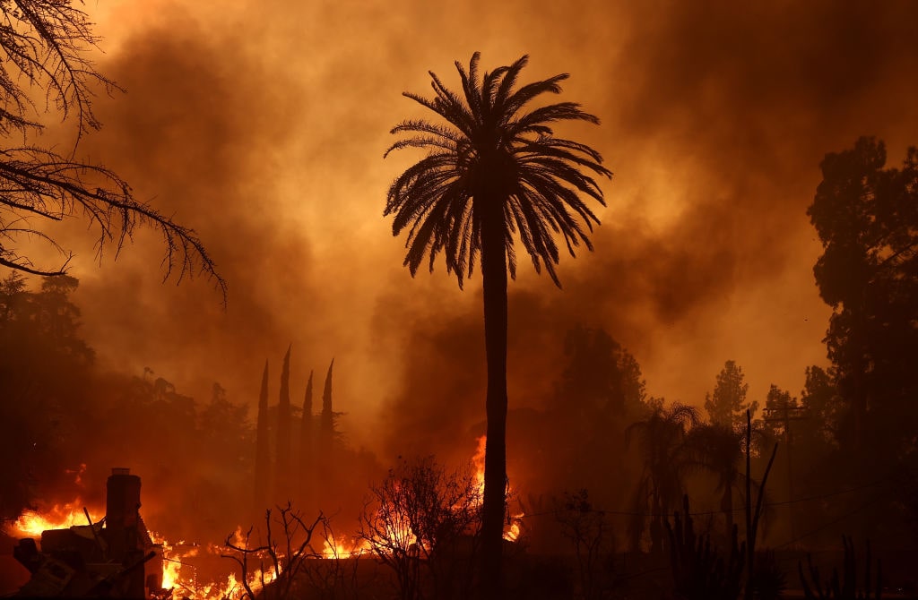 From Fires to Progressive Politics, Disasters Ravage California